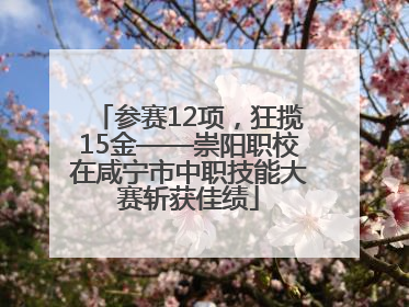 参赛12项，狂揽15金——崇阳职校在咸宁市中职技能大赛斩获佳绩