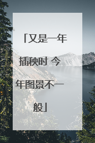 又是一年插秧时 今年图景不一般