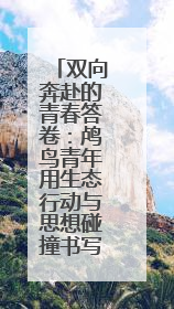 双向奔赴的青春答卷：鸬鸟青年用生态行动与思想碰撞书写乡村未来