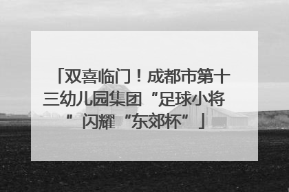双喜临门！成都市第十三幼儿园集团“足球小将”闪耀“东郊杯”