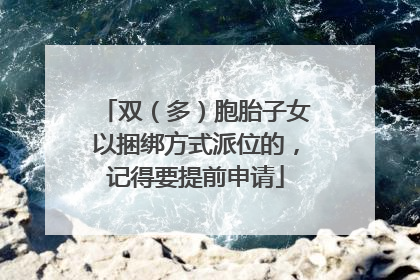 双（多）胞胎子女以捆绑方式派位的，记得要提前申请