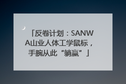 反卷计划：SANWA山业人体工学鼠标，手腕从此“躺赢”