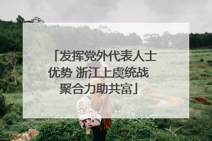 发挥党外代表人士优势 浙江上虞统战聚合力助共富