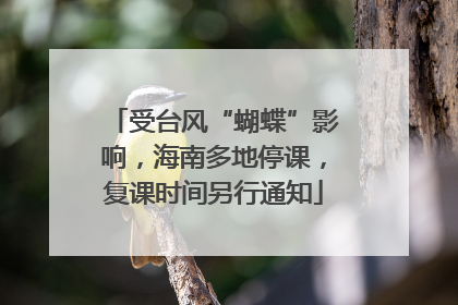 受台风“蝴蝶”影响，海南多地停课，复课时间另行通知