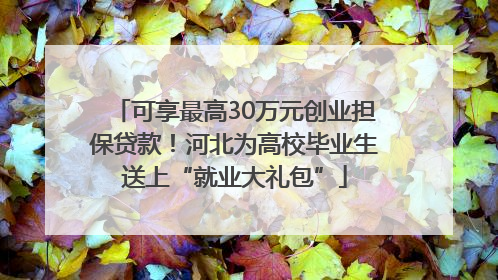可享最高30万元创业担保贷款！河北为高校毕业生送上“就业大礼包”
