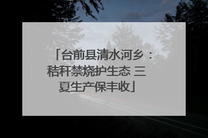 台前县清水河乡：秸秆禁烧护生态 三夏生产保丰收