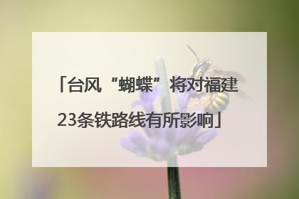 台风“蝴蝶”将对福建23条铁路线有所影响