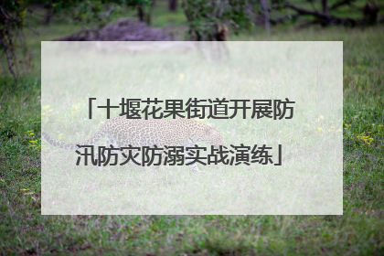 十堰花果街道开展防汛防灾防溺实战演练