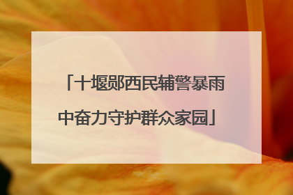 十堰郧西民辅警暴雨中奋力守护群众家园