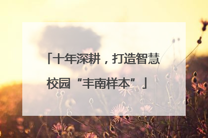 十年深耕，打造智慧校园“丰南样本”