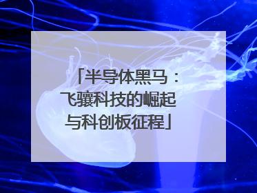 半导体黑马：飞骧科技的崛起与科创板征程