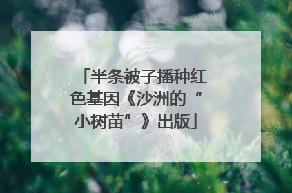 半条被子播种红色基因《沙洲的“小树苗”》出版