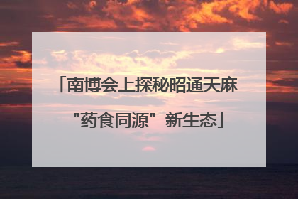 南博会上探秘昭通天麻“药食同源”新生态