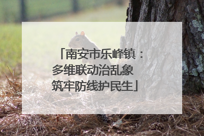 南安市乐峰镇：多维联动治乱象 筑牢防线护民生