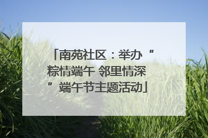 南苑社区：举办“粽情端午 邻里情深”端午节主题活动