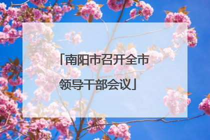 南阳市召开全市领导干部会议