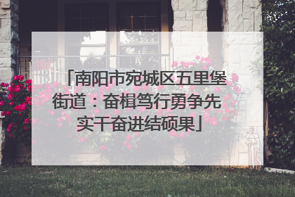 南阳市宛城区五里堡街道：奋楫笃行勇争先 实干奋进结硕果