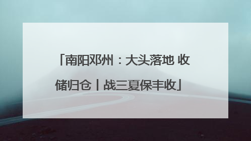南阳邓州：大头落地 收储归仓丨战三夏保丰收