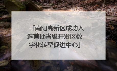 南阳高新区成功入选首批省级开发区数字化转型促进中心