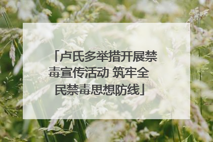 卢氏多举措开展禁毒宣传活动 筑牢全民禁毒思想防线