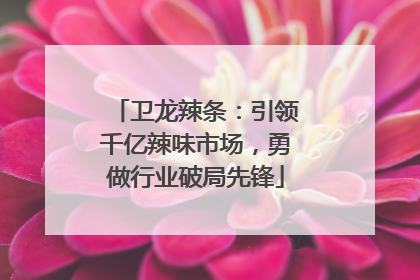 卫龙辣条：引领千亿辣味市场，勇做行业破局先锋