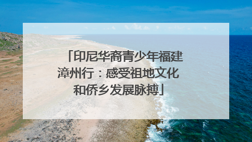 印尼华裔青少年福建漳州行：感受祖地文化和侨乡发展脉搏