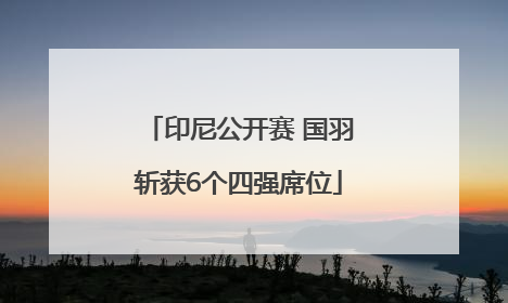 印尼公开赛 国羽斩获6个四强席位