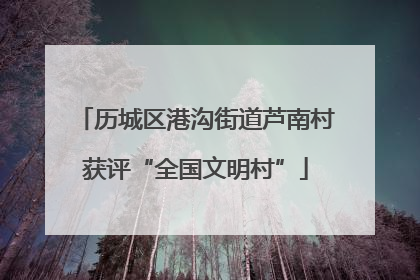 历城区港沟街道芦南村获评“全国文明村”