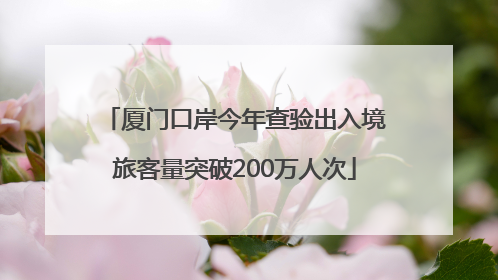 厦门口岸今年查验出入境旅客量突破200万人次