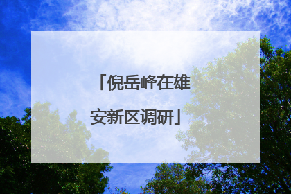 倪岳峰在雄安新区调研