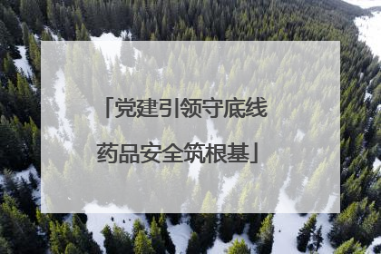 党建引领守底线 药品安全筑根基