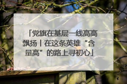 党旗在基层一线高高飘扬丨在这条英雄“含量高”的路上寻初心