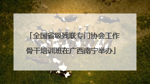 全国省级残联专门协会工作骨干培训班在广西南宁举办
