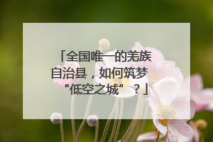 全国唯一的羌族自治县，如何筑梦“低空之城”？