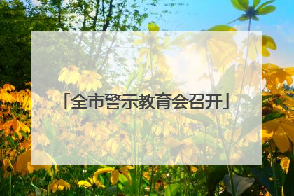 全市警示教育会召开