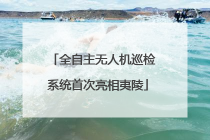 全自主无人机巡检系统首次亮相夷陵