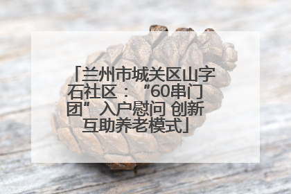 兰州市城关区山字石社区：“60串门团”入户慰问 创新互助养老模式