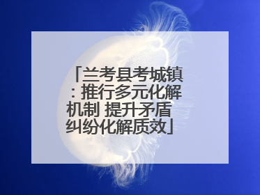 兰考县考城镇：推行多元化解机制 提升矛盾纠纷化解质效