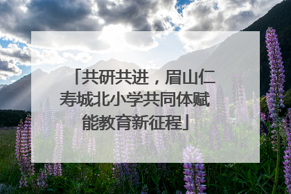 共研共进，眉山仁寿城北小学共同体赋能教育新征程