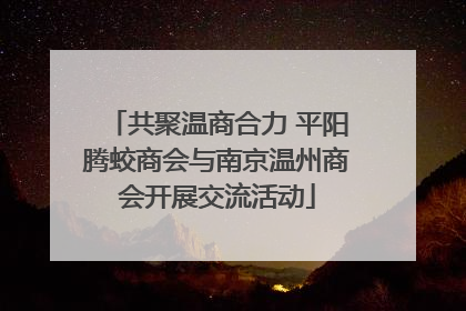 共聚温商合力 平阳腾蛟商会与南京温州商会开展交流活动