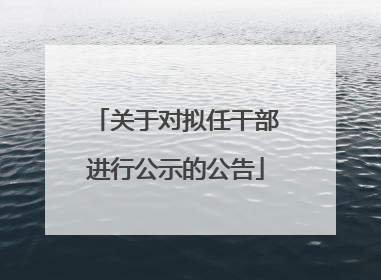 关于对拟任干部进行公示的公告