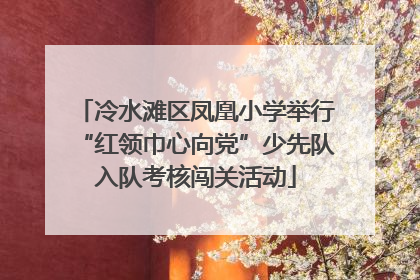 冷水滩区凤凰小学举行“红领巾心向党”少先队入队考核闯关活动