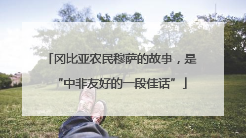 冈比亚农民穆萨的故事，是“中非友好的一段佳话”