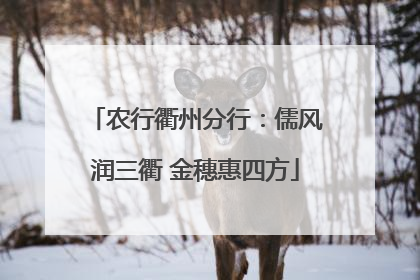 农行衢州分行：儒风润三衢 金穗惠四方
