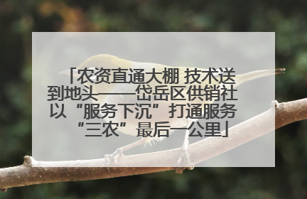 农资直通大棚 技术送到地头——岱岳区供销社以“服务下沉”打通服务“三农”最后一公里