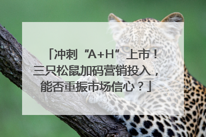 冲刺“A+H”上市！三只松鼠加码营销投入，能否重振市场信心？