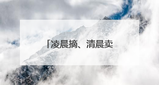 凌晨摘、清晨卖，江北“杨梅自由一条街”藏着最甜的烟火气