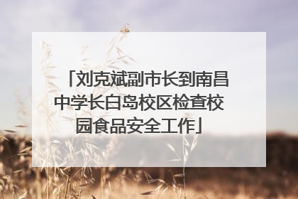 刘克斌副市长到南昌中学长白岛校区检查校园食品安全工作
