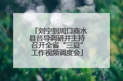 刘宁到周口商水县督导调研并主持召开全省“三夏”工作视频调度会