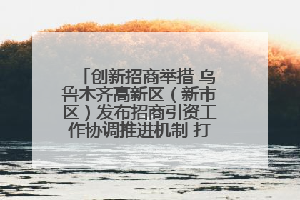 创新招商举措 乌鲁木齐高新区（新市区）发布招商引资工作协调推进机制 打造投资发展新高地